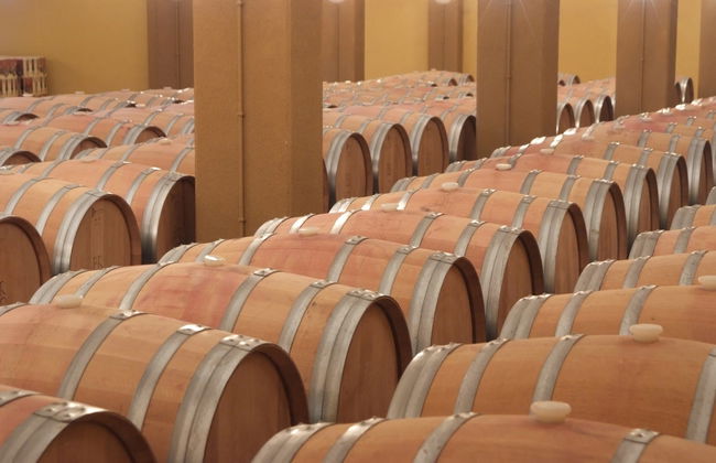 Visita a las bodegas Romale - Foto 4