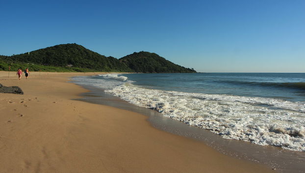 Private Excursions from Bombinhas - Foto 2