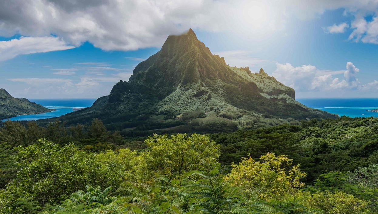 Mo'orea Complete Island Tour - Foto 1