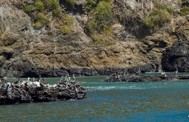 Excursion à l'Île Salango - Photo 6