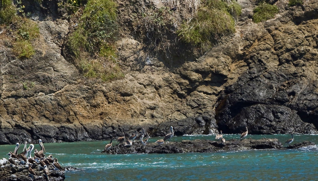 Salango Island Tour - Foto 1