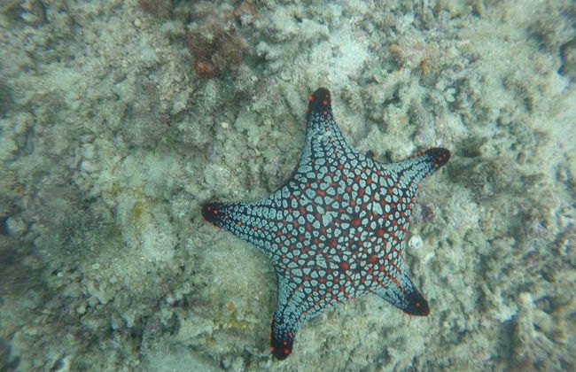 Excursion à l'Île Salango - Photo 4