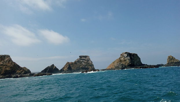 Salango Island Tour - Foto 2