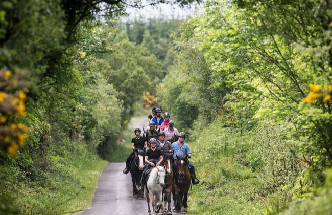 Passeggiata a cavallo a Lisdoonvarna - Foto 6