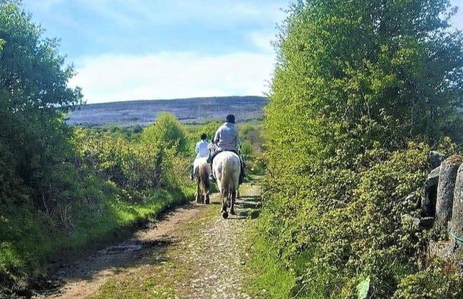 Passeggiata a cavallo a Lisdoonvarna - Foto 4