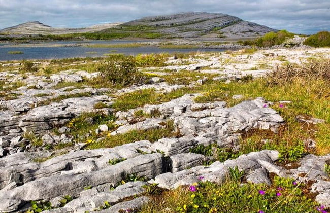 Passeggiata a cavallo a Lisdoonvarna - Foto 2