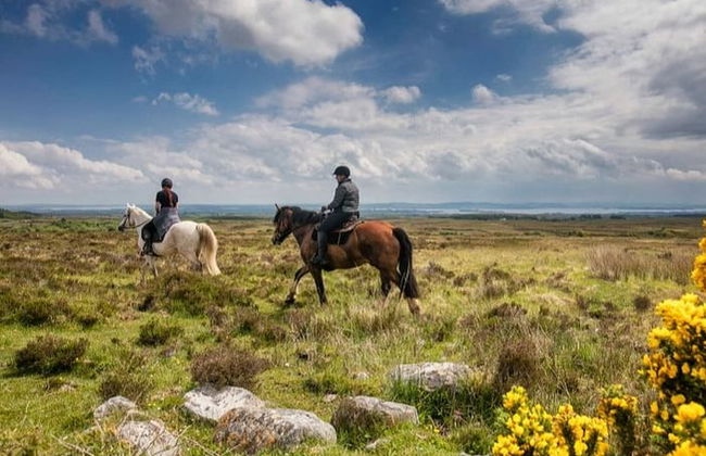 Passeggiata a cavallo a Lisdoonvarna - Foto 5