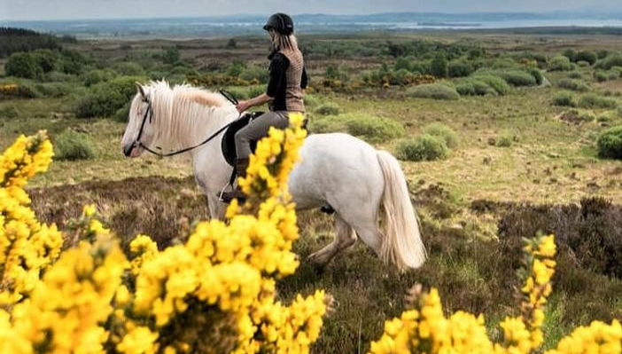 Lisdoonvarna Horse Riding Activity - Photo 1