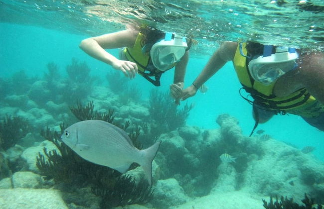 Nado con tortugas en la bahía de Akumal - Foto 3