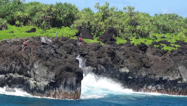 Road to Hana Tour - Foto 5