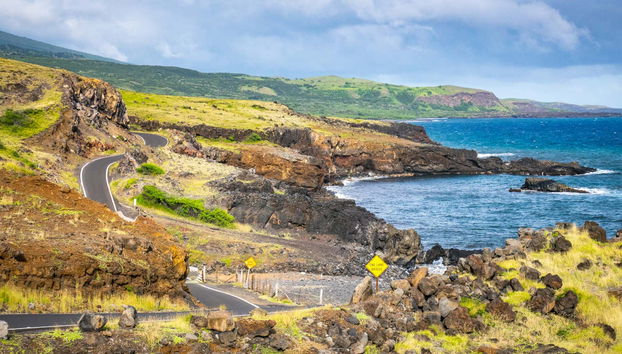 Road to Hana Tour - Foto 3