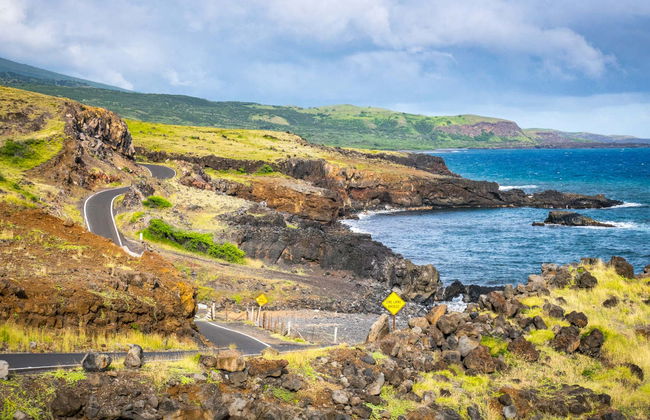 Road to Hana Tour - Foto 3