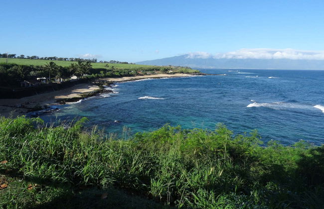 Road to Hana Tour - Foto 1