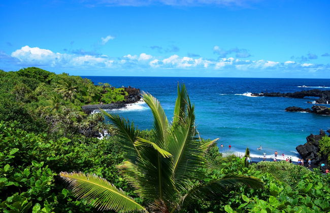 Road to Hana Tour - Photo 4
