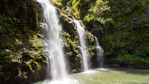 Road to Hana Tour - Foto 2