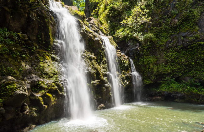 Road to Hana Tour - Foto 2