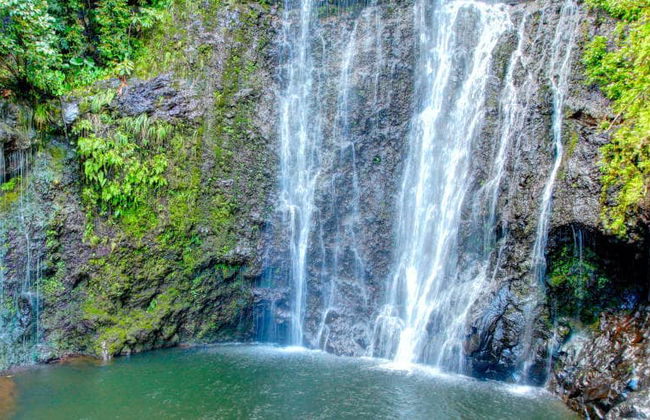 Road to Hana Tour - Photo 5