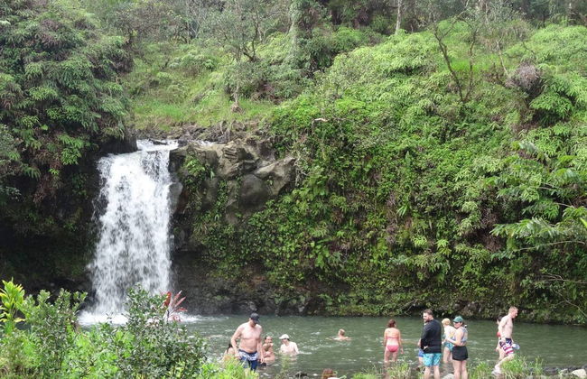 Road to Hana Tour - Photo 2