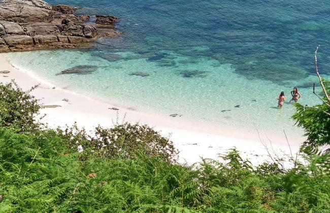 Traslado a la isla de Ons - Foto 7