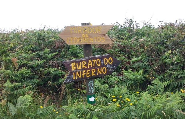 Traslado a la isla de Ons - Foto 4