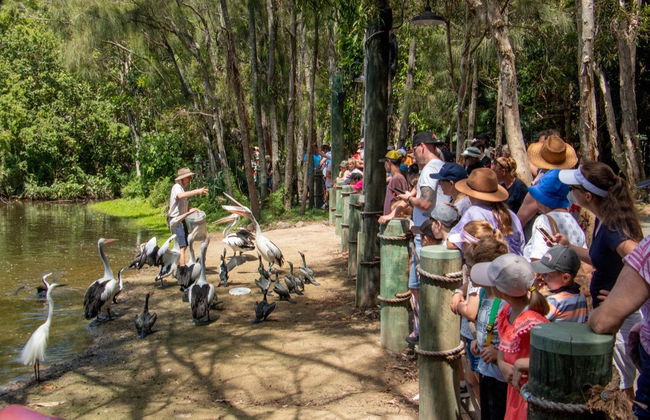 Currumbin Wildlife Sanctuary Ticket - Foto 3