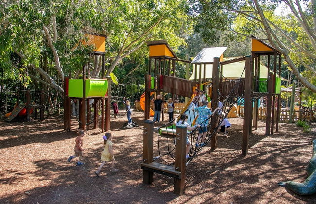 Currumbin Wildlife Sanctuary Ticket - Foto 6
