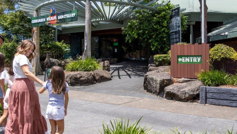 Currumbin Wildlife Sanctuary Ticket