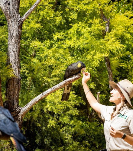 Foto de Entrada a Currumbin Wildlife Sanctuary