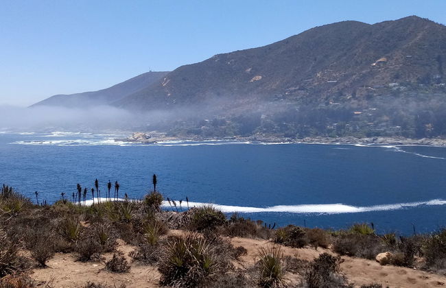 Observation de pingouins sur l'île Cachagua - Photo 6
