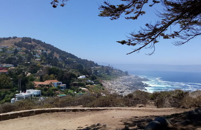 Observation de pingouins sur l'île Cachagua - Photo 5