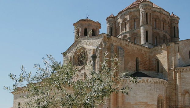 Visita guiada por Toro - Photo 5