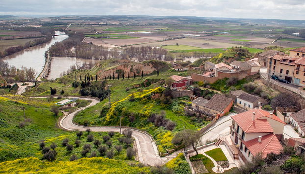 Visita guiada por Toro - Photo 4