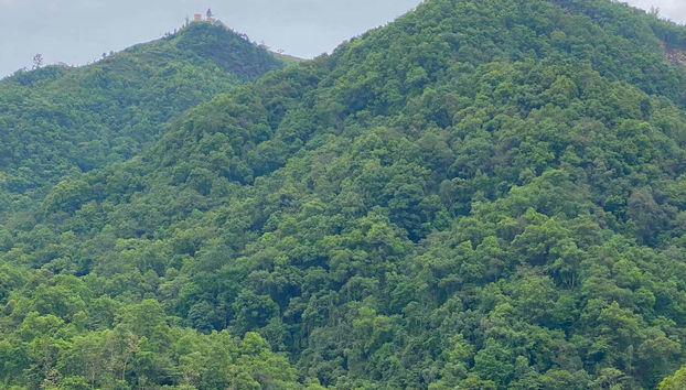 Private Phewa Lake Boat Trip & Peace Pagoda Hiking Tour - Photo 4