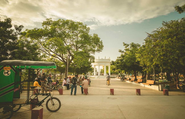 Excursión a Ciénaga - Foto 4
