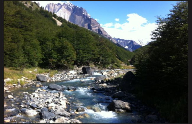 Trek à Torres del Paine - Photo 3