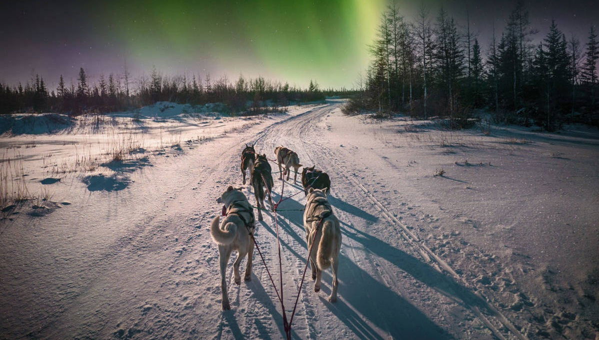 Paseo en trineo de perros husky bajo la aurora boreal - Foto 1