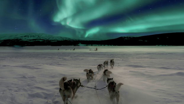 Paseo en trineo de perros husky bajo la aurora boreal - Foto 3