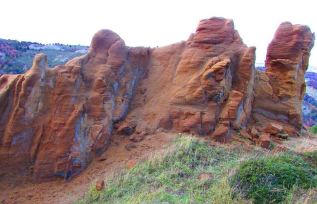 Tour por la Reserva Nacional Magallanes - Foto 7