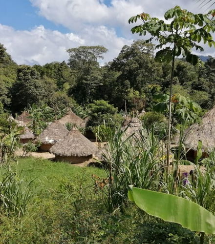 Foto de Excursión a una comunidad indígena Kogui