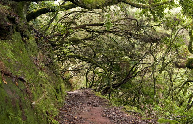 Jeep safari di mezza giornata - Foto 1