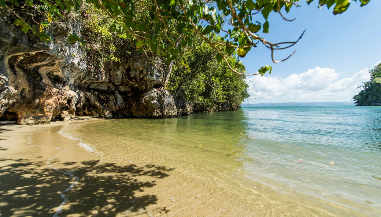 Excursion au Parc National Los Haitises et à Cayo Levantado - Photo 1