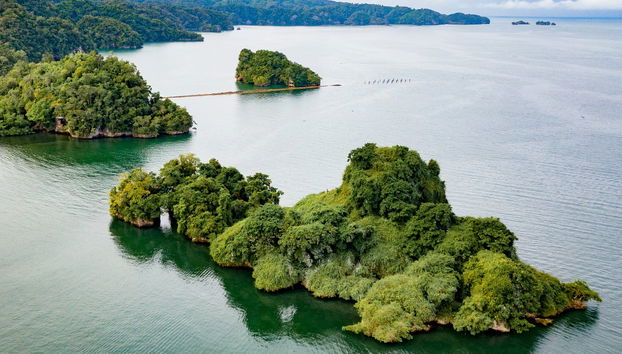 Excursion au Parc National Los Haitises et à Cayo Levantado - Photo 2