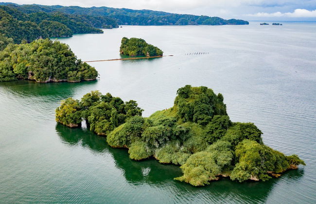 Excursión al Parque Nacional Los Haitises y Cayo Levantado - Foto 2