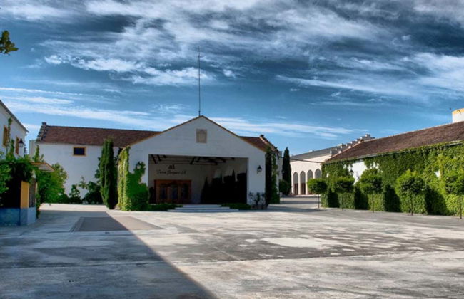 Visita a la bodega Pérez Barquero - Photo 4