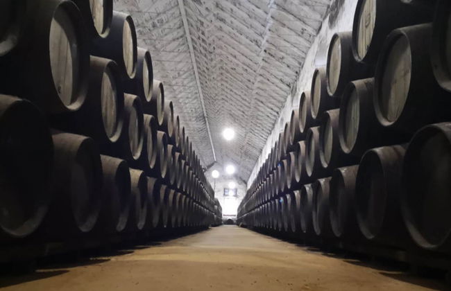 Visita a la bodega Pérez Barquero - Photo 3