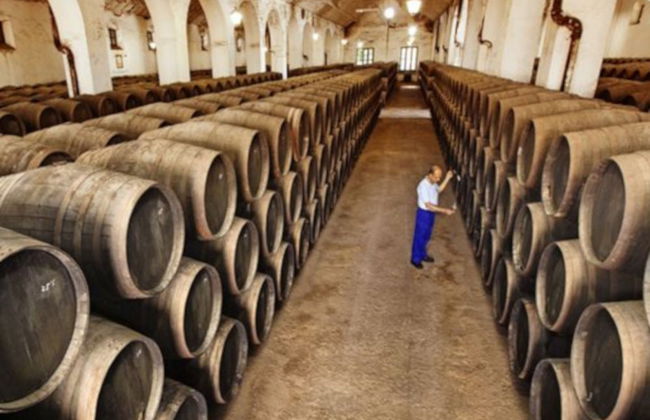 Visita a la bodega Pérez Barquero - Photo 2