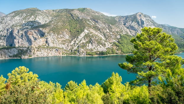 Green Lake Tour + Cruise - Photo 4