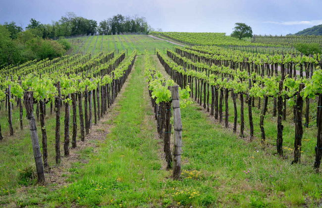 Escursione privata da Perth - Foto 1