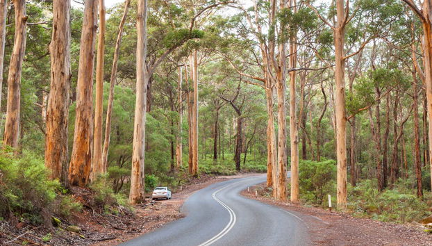 Excursión privada desde Perth - Foto 4