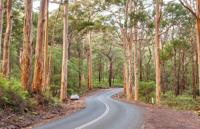 Escursione privata da Perth - Foto 4